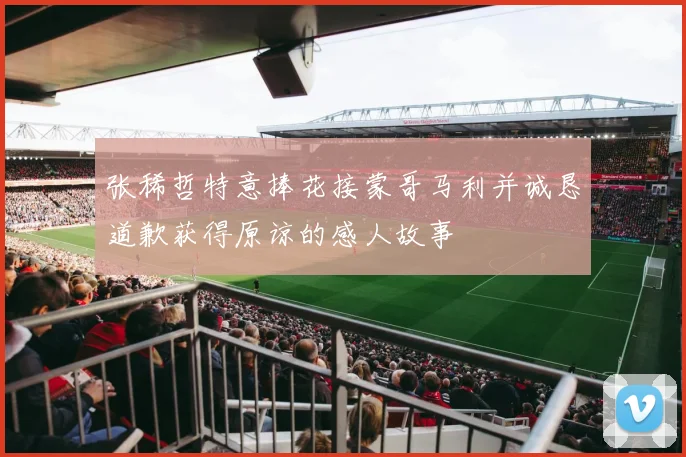 张稀哲特意捧花接蒙哥马利并诚恳道歉获得原谅的感人故事